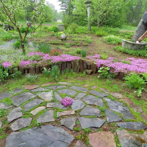 101 Brandon Lane Grand Marais MN 55604