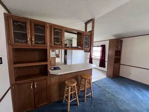 1 Plumtree Circle Duluth MN 55810