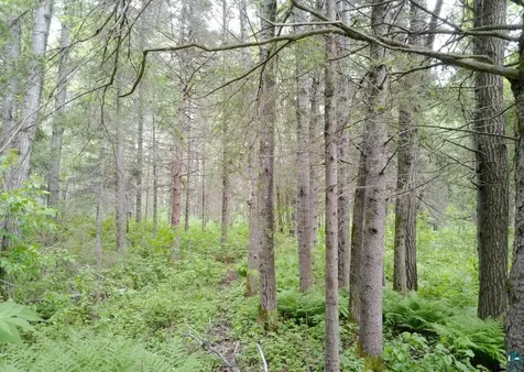 300 Caribou Trail Lutsen MN 55612