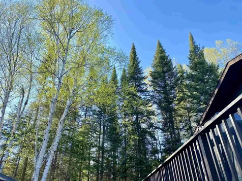 300 Caribou Trail Lutsen MN 55612