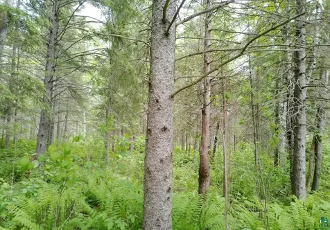 300 Caribou Trail Lutsen MN 55612