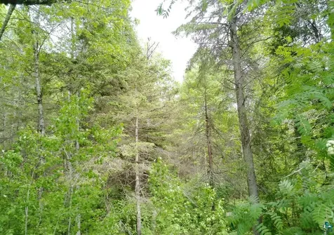 300 Caribou Trail Lutsen MN 55612