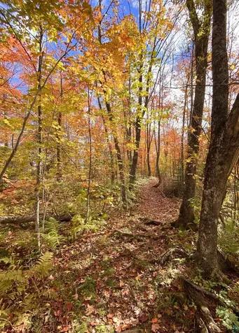 300 Caribou Trail Lutsen MN 55612