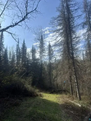 7442 Cramer Road Finland MN 55603