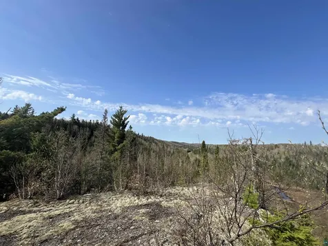 7442 Cramer Road Finland MN 55603