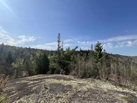 7442 Cramer Road Finland MN 55603