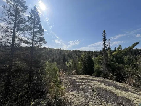 7442 Cramer Road Finland MN 55603