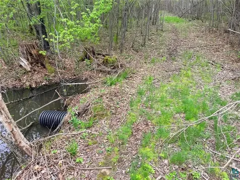 54003 Dollar Lake Road Sandstone MN 55072