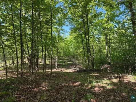 54003 Dollar Lake Road Sandstone MN 55072