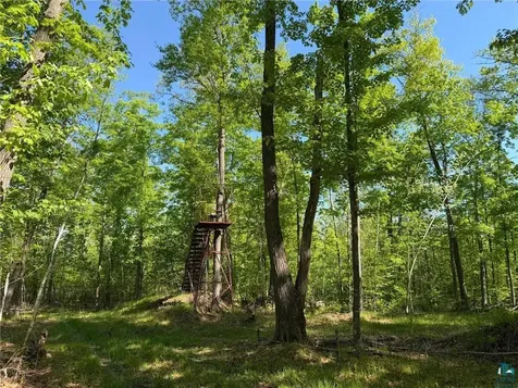 54003 Dollar Lake Road Sandstone MN 55072