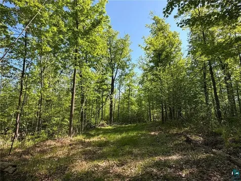 54003 Dollar Lake Road Sandstone MN 55072