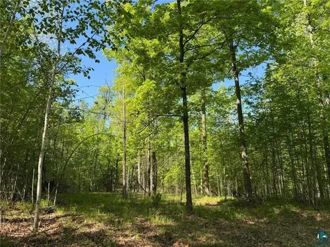 54003 Dollar Lake Road Sandstone MN 55072