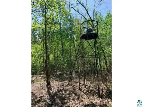 54003 Dollar Lake Road Sandstone MN 55072