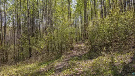 4304 Mud Creek Road Ely MN 55731
