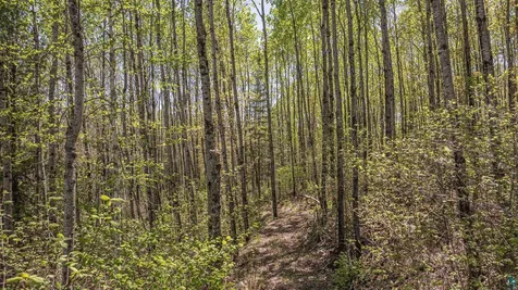 4304 Mud Creek Road Ely MN 55731