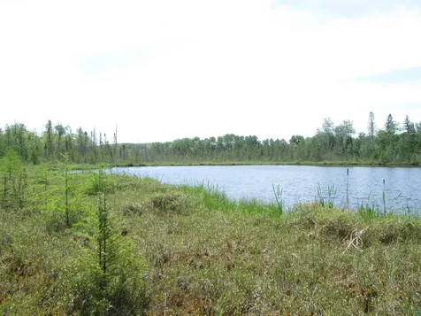4606 Maki Road Brookston MN 55711