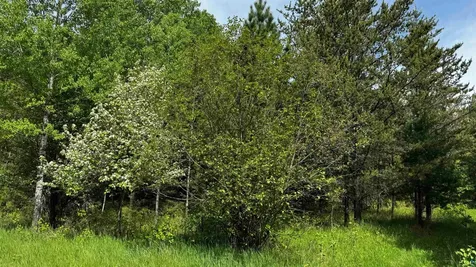 Tbd-b Highway 169 Virginia MN 55792
