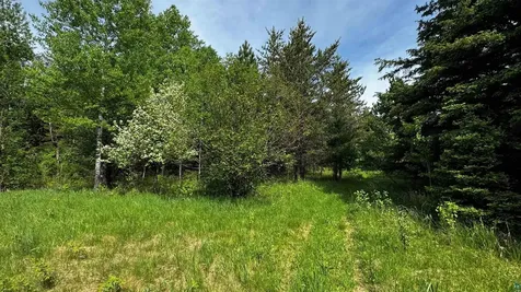 Tbd-b Highway 169 Virginia MN 55792