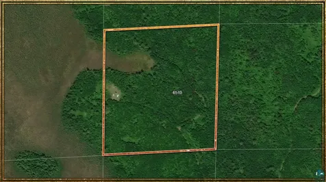 Tbd Muckwa Lake Road Babbitt MN 55706