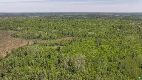 Tbd Muckwa Lake Road Babbitt MN 55706