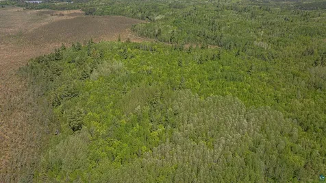 Tbd Muckwa Lake Road Babbitt MN 55706
