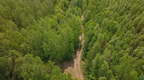 Tbd Muckwa Lake Road Babbitt MN 55706