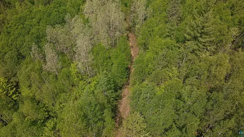 Tbd Muckwa Lake Road Babbitt MN 55706