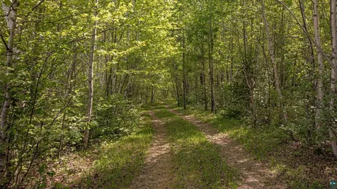 Tbd Muckwa Lake Road Babbitt MN 55706