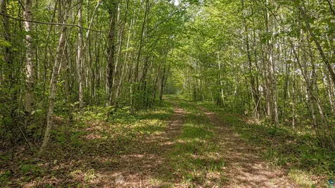 Tbd Muckwa Lake Road Babbitt MN 55706