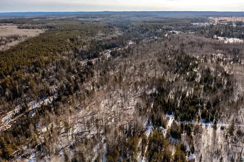 Xxx Moose Ridge Road Isabella MN 55607