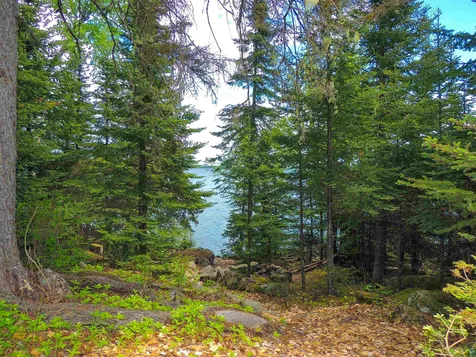 20 Big Bay Point Hovland MN 55606