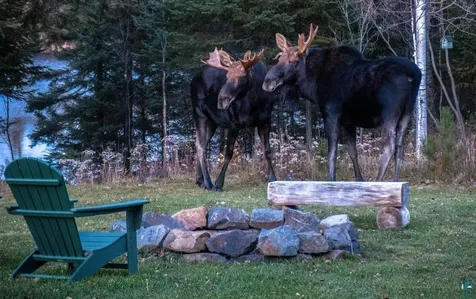 48 Wolf Point Trail Grand Marais MN 55604