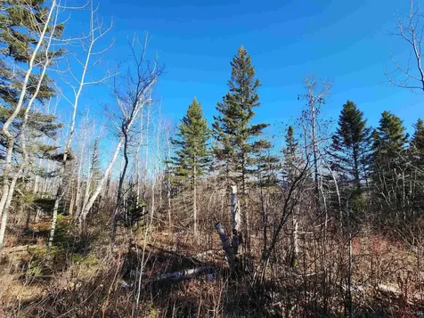 56XX-B Highway 61 Lutsen MN 55612