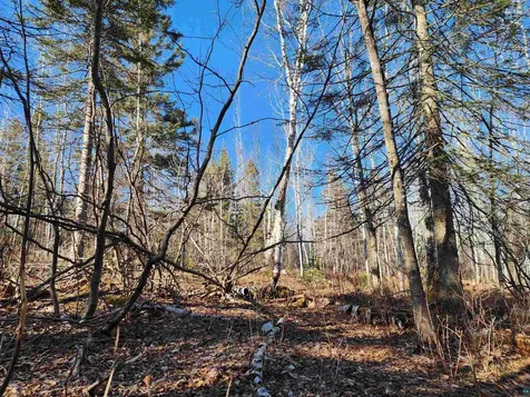 56XX-B Highway 61 Lutsen MN 55612