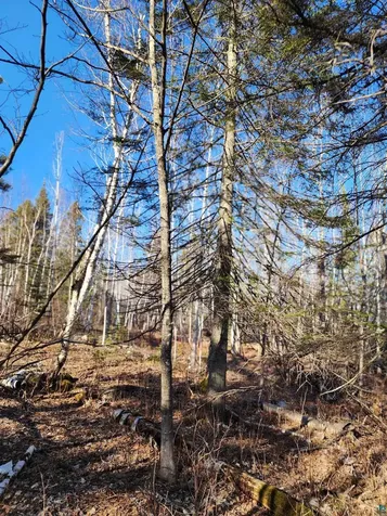 56XX-B Highway 61 Lutsen MN 55612