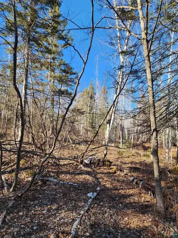 56XX-B Highway 61 Lutsen MN 55612