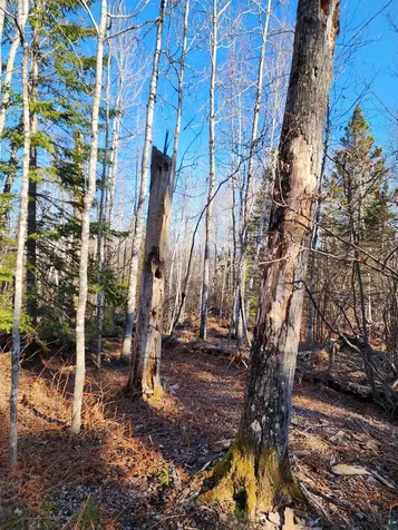 56XX-B Highway 61 Lutsen MN 55612