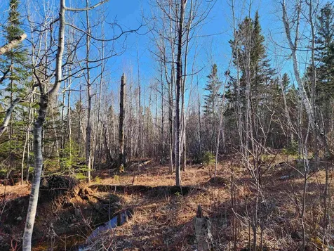 56XX-B Highway 61 Lutsen MN 55612