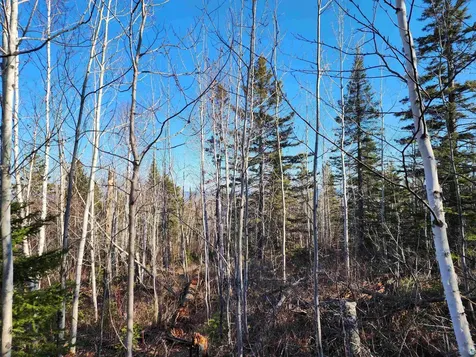 56XX-B Highway 61 Lutsen MN 55612