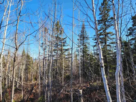 56XX-B Highway 61 Lutsen MN 55612