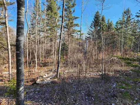 56XX-B Highway 61 Lutsen MN 55612