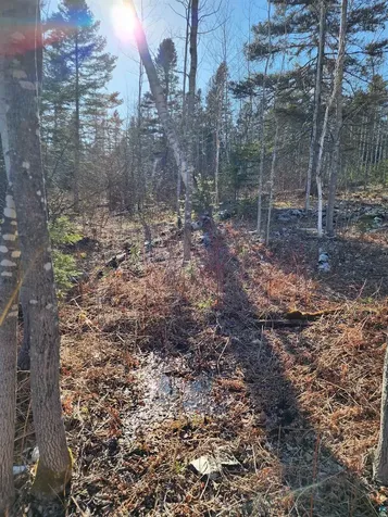56XX-B Highway 61 Lutsen MN 55612