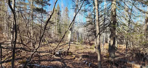 56XX-B Highway 61 Lutsen MN 55612