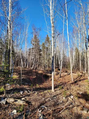 56XX-B Highway 61 Lutsen MN 55612