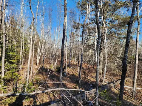 56XX-B Highway 61 Lutsen MN 55612