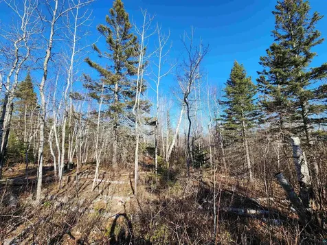 56XX-B Highway 61 Lutsen MN 55612