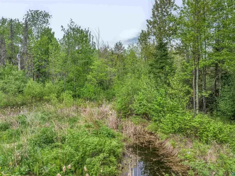1152 Fernberg Road Ely MN 55731-0000