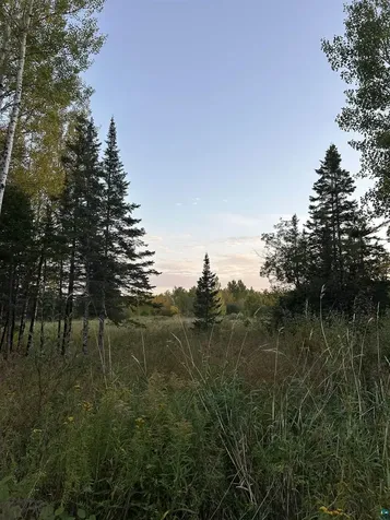 2253 Fors Road Two Harbors MN 55616