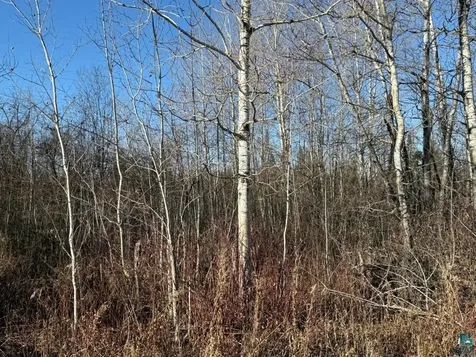 Parcel A Parameter Road Deer River MN 56636