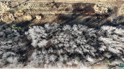 Parcel A Parameter Road Deer River MN 56636